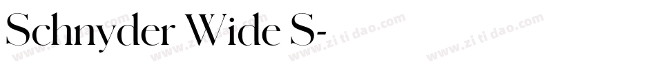 Schnyder Wide S字体转换
